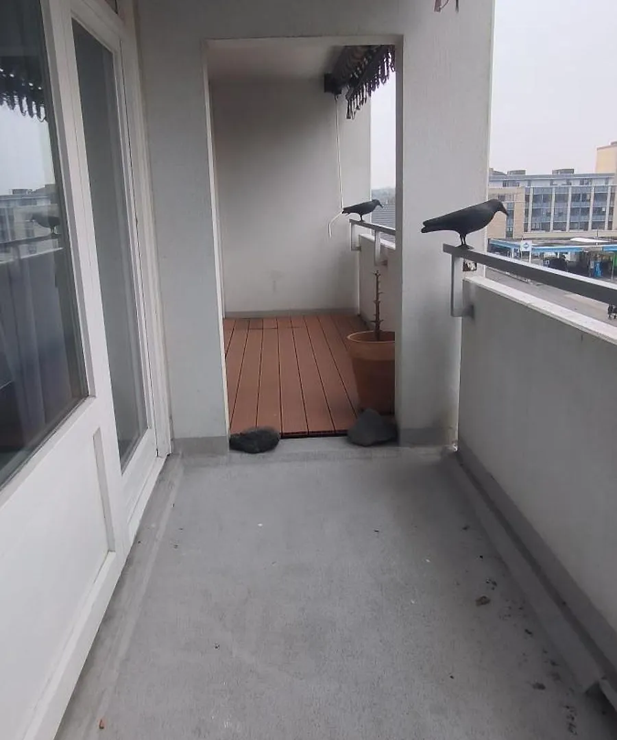 Mindestbuchung 3 Monate!!! Optimal Gelegen In Ni, Nur 10 Km Nach Frankfurt Main Und Zum Flughafen Apartment Neu-Isenburg